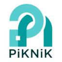 PiKNiK & Company, Inc